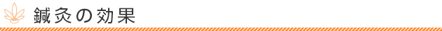 鍼灸の効果